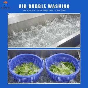 Laveuse De Fruits Ultrasonsozone - Product Image 3