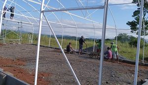 מלאי מפעל ערכת חממות צינורות פלדה מחבר צינורות פלדה מרובעים מחברים בין קליפות לבית ירוק - Product Image 4