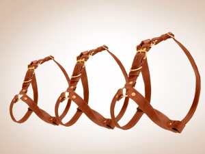 Arnés de Piel para Perros Pequeños y Grandes, Regalo para Mascotas - Product Image 3