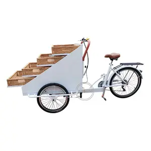 OEM Outdoor Street Mobile Brot Vending Bike für Bäckerei Commercial Food Hot Dog Dreirad wagen Custom ized Cargo Trike