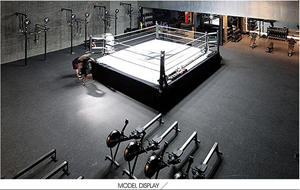 Professioneel 5m*5m*50cm verhoogd worstelring podium boksring te koop - Product Image 6