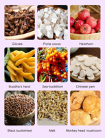 Bolsitas de Té Saludable con Sabores Herbales Naturales al por Mayor, con Poria Cocos y Otros Ingredientes para el Cuidado del Estómago