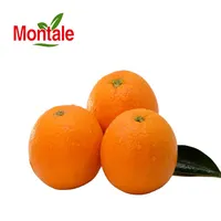 Chinesische klassische Orange Montale Großhandel frische Newhall Nabel Orange