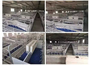 Cage d'élevage de porcs galvanisée à chaud, construction durable, système professionnel de cage de mise bas double face pour truies - Product Image 5
