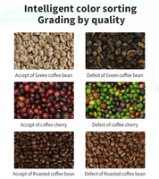 Trieuse de couleur intelligente pour grains de café de type mini-bande transporteuse, pour cerises de café artificielles