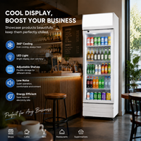 Réfrigérateur vertical mince pour boissons, 300 litres, vitrine réfrigérée avec éclairage supérieur et étagères réglables pour bar et magasin