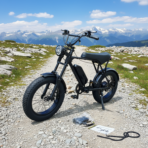 Vélos électriques pour adultes, 450W, pneus larges de 20 pouces, batterie au lithium, vélo de montagne - Product Image 5