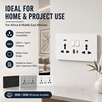 Prise murale universelle DepoGuye 13A pour usage industriel et hospitalier, avec USB Type C PD20W à charge rapide, 1/2 prises avec interrupteur, 3 broches