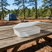 Boîte à salade en plastique, conteneur de stockage alimentaire portable, boîte à lunch givrée sans BPA, conteneur à collation réutilisable, boîte alimentaire pour pique-niques et camping