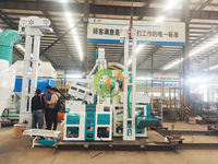 Ligne de fraisage de riz 1 tonne par heure Machine de blanchiment de dénoyauteur de riz