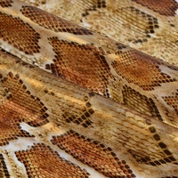 Simili cuir sans PFAS, imprimé animal, tissu transparent en TPU, personnalisé