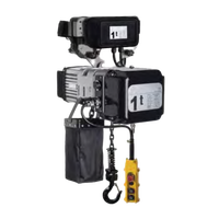 Palan électrique triphasé 400V/50-60HZ chariot de voyage palan à chaîne manuel pour la construction minière usage domestique avec engrenage moteur
