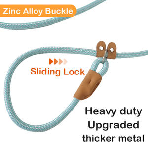 Ensemble laisse et collier pour chien de taille moyenne à grande, bleu, à capuche, réglable, vente chaude OEM/ODM, pour la marche et l'entraînement en extérieur - Product Image 3