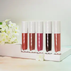 lipgloss custom wholesale fruit flavored gloss lip gloss drop shipping labiales verified suppliers matte liquid lipstick