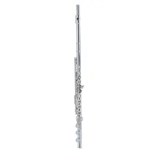 Professional grade 17 open hole Imported sterling silver body flute