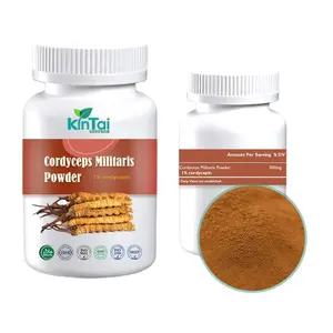 Bulkvrij Monster Natuur Cordyceps Sinensis Extract Cordycepin