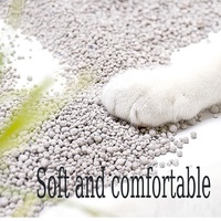 Produits de toilettage pour animaux de compagnie Remplisseur de litière pour chats Bon contrôle des odeurs et sans poussière Litière pour chat Sable 10 litière