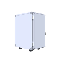 Conteneur frigorifique mobile Esfrigo ES890P 890L avec plaques eutectiques amovibles -20°C Haute résistance Longue durée de vie 1