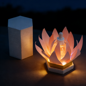 Boîte cadeau rigide hexagonale de luxe avec éclairage LED, design <span class=keywords><strong>lotus</strong></span> rose, pour l'emballage d'huiles essentielles et de parfums - Product Image 1