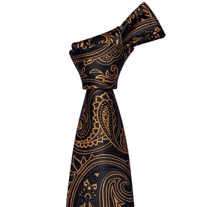 LELE <span class=keywords><strong>Discount</strong></span> Gravata Ensemble <span class=keywords><strong>cravate</strong></span> et pochette de costume pour homme en mélange de soie et de laine, jacquard Paisley tissé - Product Image 2