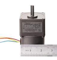 Boîte de vitesses Micro moteur électrique, 110v, couple élevé, basse Rpm, moteur électrique