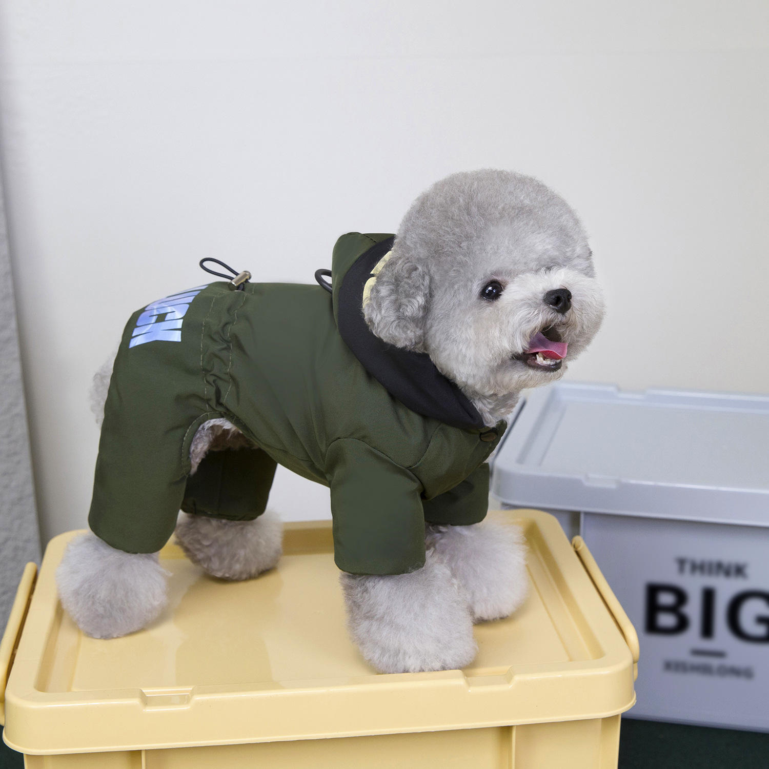 กองทัพสีเขียว