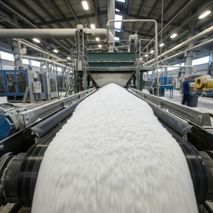 Linea di Produzione per Lavaggio e Frantumazione del Sale con Essiccatore Integrato per Purificazione della Salamoia per Sale da Tavola Marca Hanpu a Risparmio Energetico Standard UE - Product Image 1