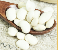 Haricots Blancs Chinois Séchés en Gros, Qualité Alimentaire, Non-OGM, Haricots Cannellini