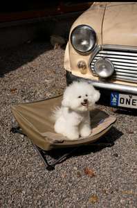 600D Oxford Cloth Material Haustier freundliches, wasserfestes, faltbares Bett - Product Image 3