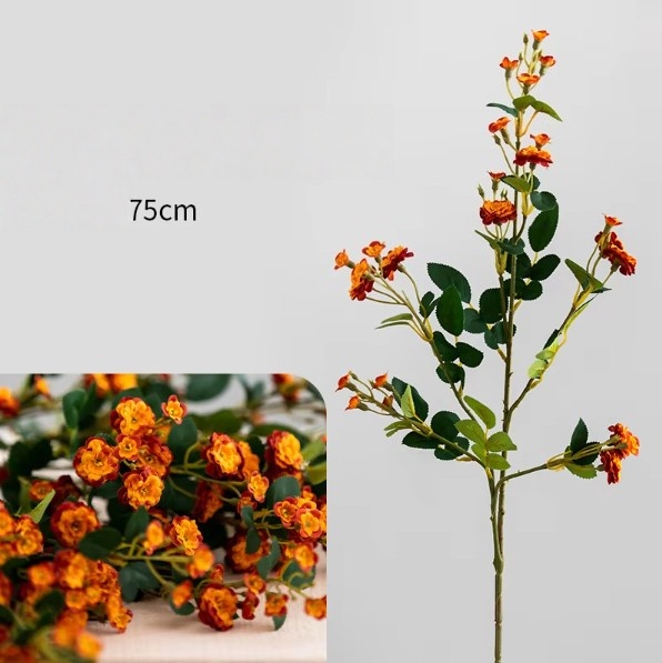 Piccola rosa arancione