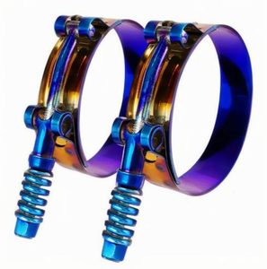 Có Thể Điều Chỉnh Thép Không Gỉ T-Bolt Ống Kẹp Bị Cháy Titan Màu Xanh Ống Sửa Chữa Clip Kit Cho Kết Nối Ứng Dụng - Product Image 6