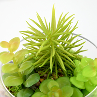 Plantes succulentes artificielles mélangées en pot, décoration, fabrication en usine, vente en gros de plantes artificielles pour la décoration de jardin et de maison