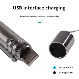 Hot-Bán Pet Nhà Máy Bán Hàng Trực Tiếp Tương Tác <span class=keywords><strong>Cat</strong></span> & Dog Teaser Wand USB Có Thể Sạc Lại <span class=keywords><strong>Laser</strong></span> Bút 5-Trong-1 Cho Mèo Đồ Chơi - Product Image 2