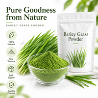 Poudre d'herbe d'orge naturelle LongBio, poudre de feuilles de jeunes pousses d'orge (Hordeum Vulgare), superaliment vert, complément alimentaire et boisson, en vrac, OEM
