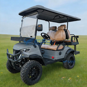 Mini Carro de Golf Eléctrico Multifuncional, Color Gris, Carro de Golf Eléctrico con Tracción en las 4 Ruedas, Buggy Eléctrico - Product Image 1