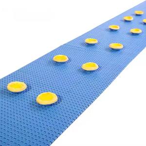 Duurzame Pp Vlakke Top Modulaire Roestvrijstalen Transportband Voor Levensmiddelenwinkel En Verpakkingsindustrie - Product Image 2