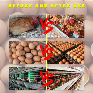 Prémélange d'Additifs Alimentaires <span class=keywords><strong>pour</strong></span> Volaille : <span class=keywords><strong>Vitamines</strong></span> de Croissance <span class=keywords><strong>pour</strong></span> <span class=keywords><strong>Poules</strong></span> <span class=keywords><strong>Pondeuses</strong></span> et Qualité des Œufs - Product Image 2