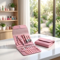 Lot de coupe-ongles matcha, ensemble de manucure et pédicure, couleurs rose jaune bleu en acier inoxydable, 16 pièces, M069