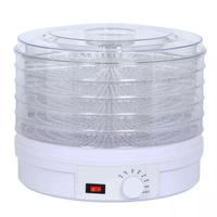 Draagbare Elektrische Kleine Mini Fruit 220V Fruit En Groente Dehydrator Machine