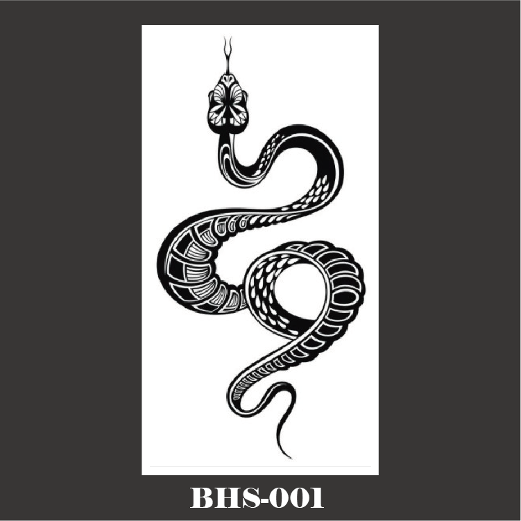 BHS-001