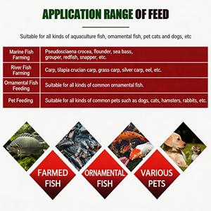 Máquina de Alimento para Peces de Alta Calidad, Extrusora de Alimento Flotante para Peces, Línea de Producción de 5 Toneladas por Día, Molino de Alimento para Peces - Product Image 3