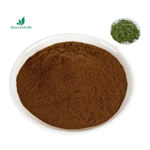 Wholesale Price Senna Leaf Extract 20% Sennosides Powder Senna Leaves Extract Powder