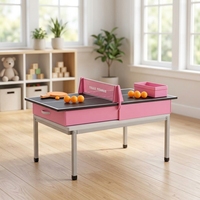 Ensemble de jeu de tennis de table miniature portable avec raquettes et balles pour jouer en intérieur et en extérieur