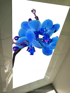 Plafond en plaques de plâtre à impression 3d Prix Faux plafond tendu Design pour <span class=keywords><strong>terrasse</strong></span> salle de bain - Product Image 3