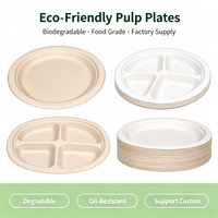 Assiettes en papier biodégradables à base de pulpe, plusieurs tailles, vente en gros, usage commercial, pour pique-niques et barbecues en extérieur