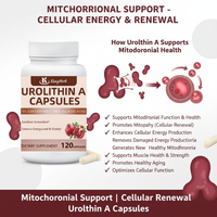 Capsules d'Urolithine A en marque privée, soutien mitochondriel, énergie cellulaire, complément alimentaire, fabricant OEM