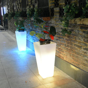 Grands pots pour plantes avec éclairage led coloré, jardin et fleurs, avec télécommande, 50 pièces - Product Image 4