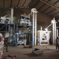 Machine de traitement des graines de riz, appareil complet de transformation d'aliments, pour caniches