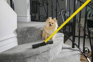 Escoba Telescópica Ecológica con Cepillo de Goma para Eliminar Pelo de Mascotas, Limpiador de Polvo para Pisos y Alfombras, 7 Colores - Product Image 3