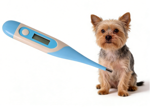 Termômetro Veterinário Shengzhichu T15S para Aves, Gatos, Cães e Cavalos - Instrumento Médico Seguro e Confiável para Diagnóstico de Saúde Animal - Product Image 4